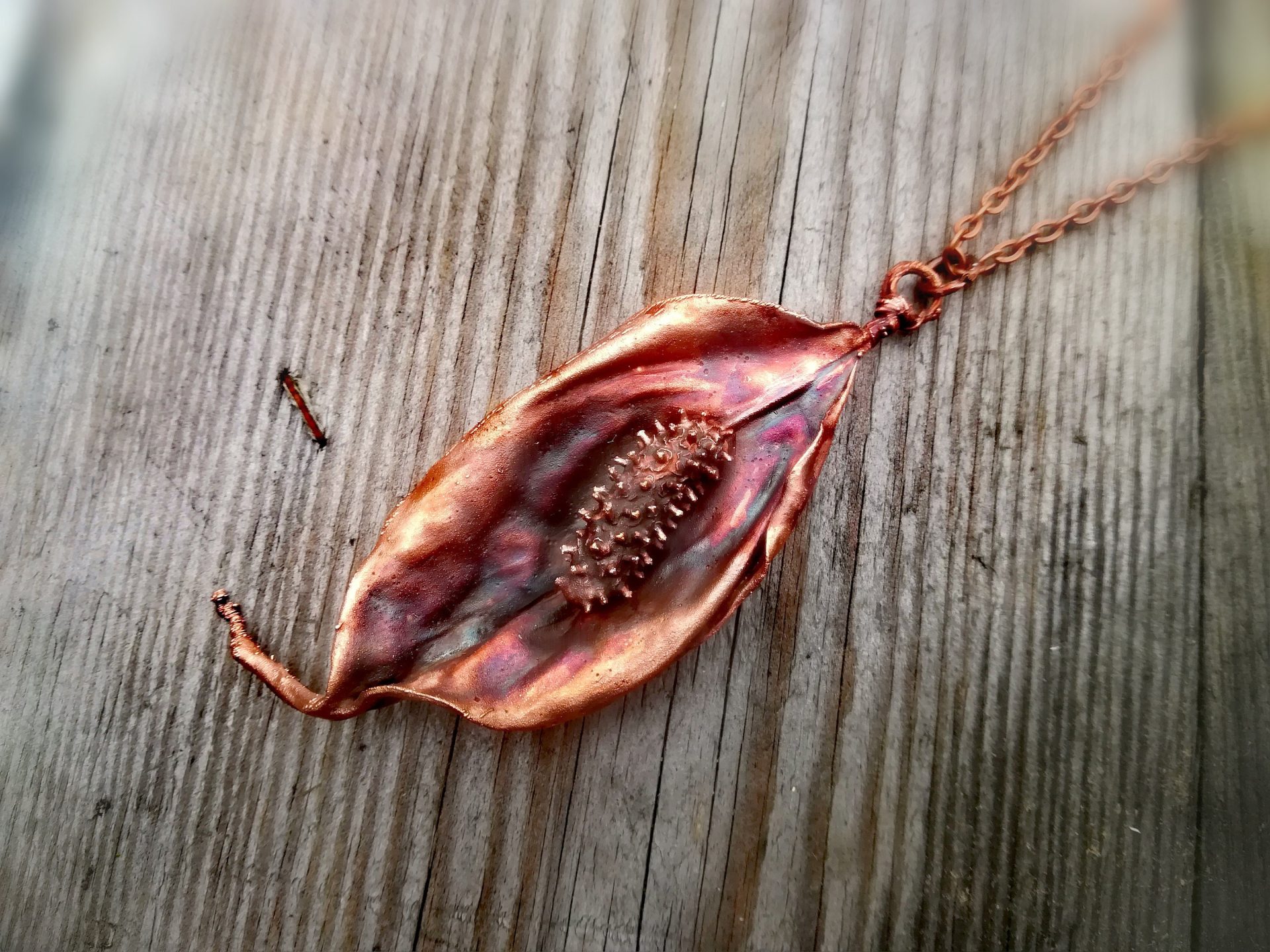 Biała Flaga Harmonii: Prawdziwy Skrzydłokwiat w Miedzi – Botaniczny Amulet Spokoju i Odrodzenia Biała Flaga Harmonii: Prawdziwy Skrzydłokwiat w Miedzi – Botaniczny Amulet Spokoju i Odrodzenia