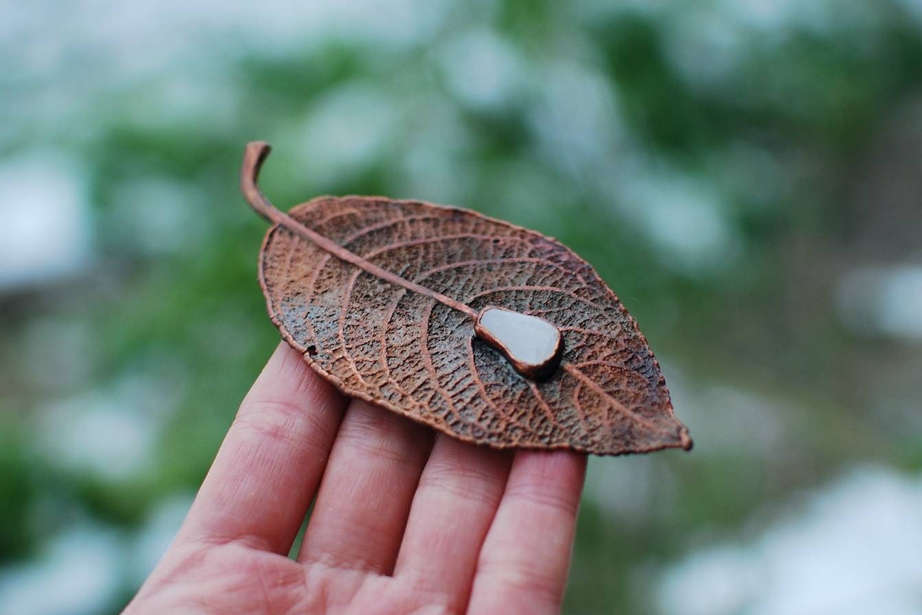 Kropla Księżyca na Liściu: Prawdziwy Liść w Miedzi z Mlecznym Kwarcem – Amulet Harmonii i Uzdrawiania Kropla Księżyca na Liściu: Prawdziwy Liść w Miedzi z Mlecznym Kwarcem – Amulet Harmonii i Uzdrawiania